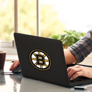 Boston Bruins Matte Decal Sticker-30773