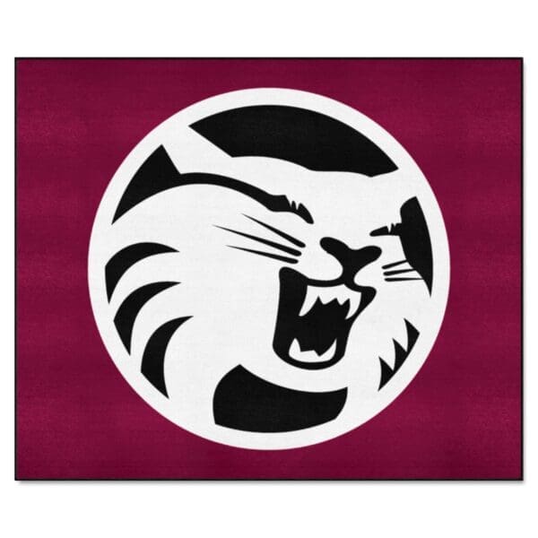 Cal State Chico Wildcats Tailgater Rug 5ft. x 6ft 1 scaled