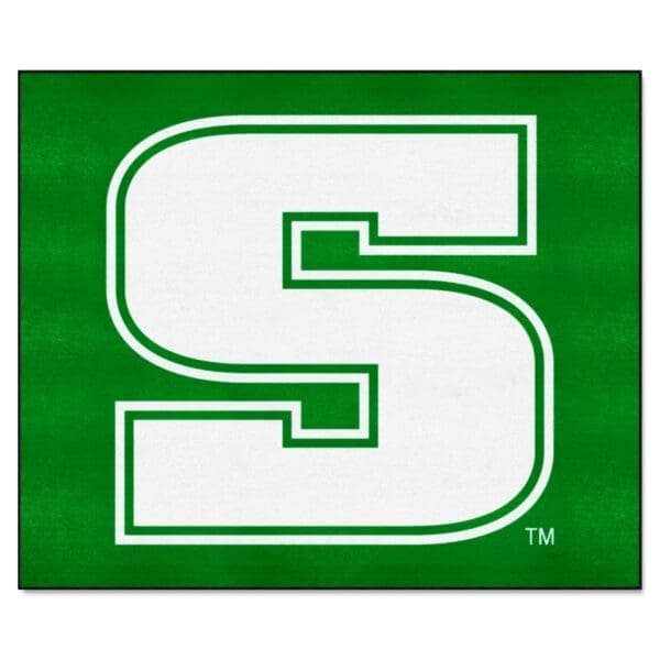 Slippery Rock The Rock Tailgater Rug 5ft. x 6ft 1 scaled