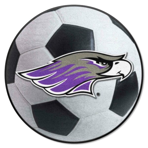 Wisconsin Whitewater Pointers Soccer Ball Rug 27in. Diameter 1 1 scaled